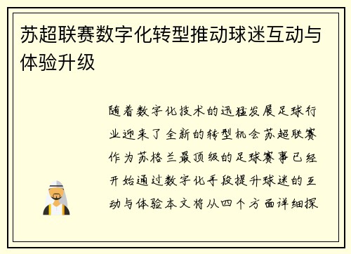 苏超联赛数字化转型推动球迷互动与体验升级